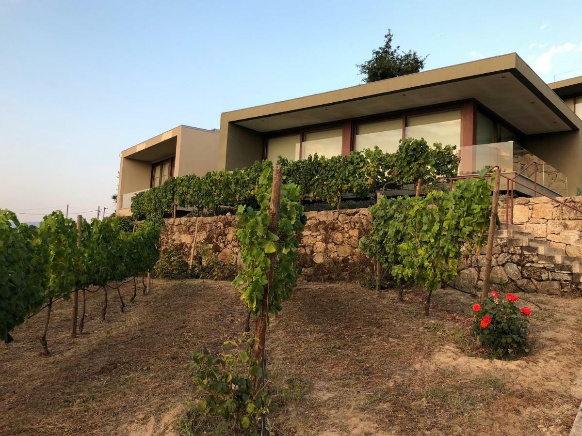 Vald'Aregos - Douro Hotel Resende Bagian luar foto